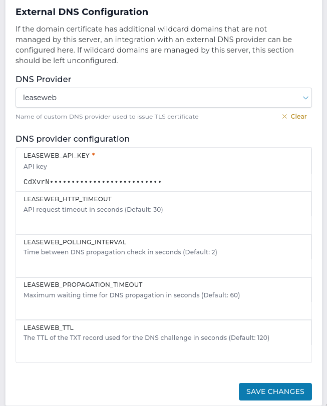 ACME DNS provider settings